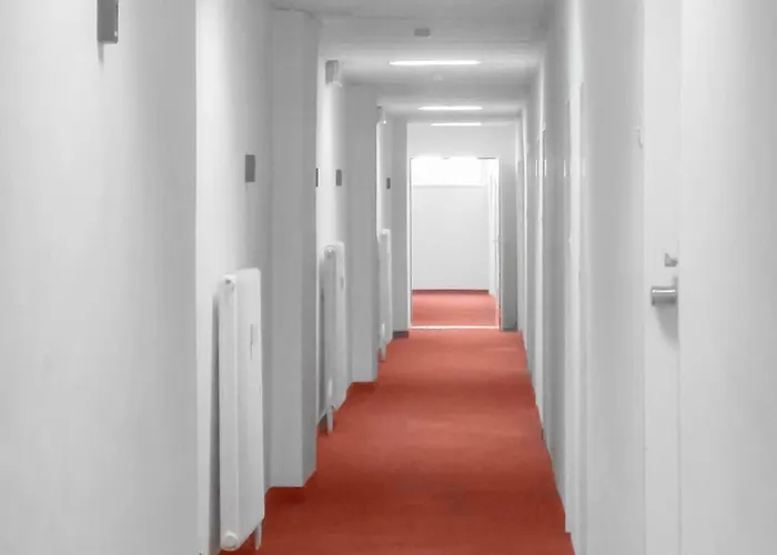 Daire Joseph - Wolfik